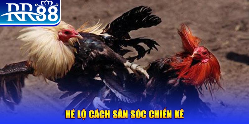 ww 88 game bai iwin tren may tinh